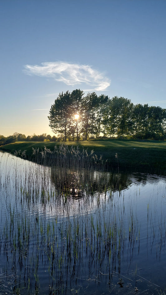 Ny Pro søges for sæsonen 2026