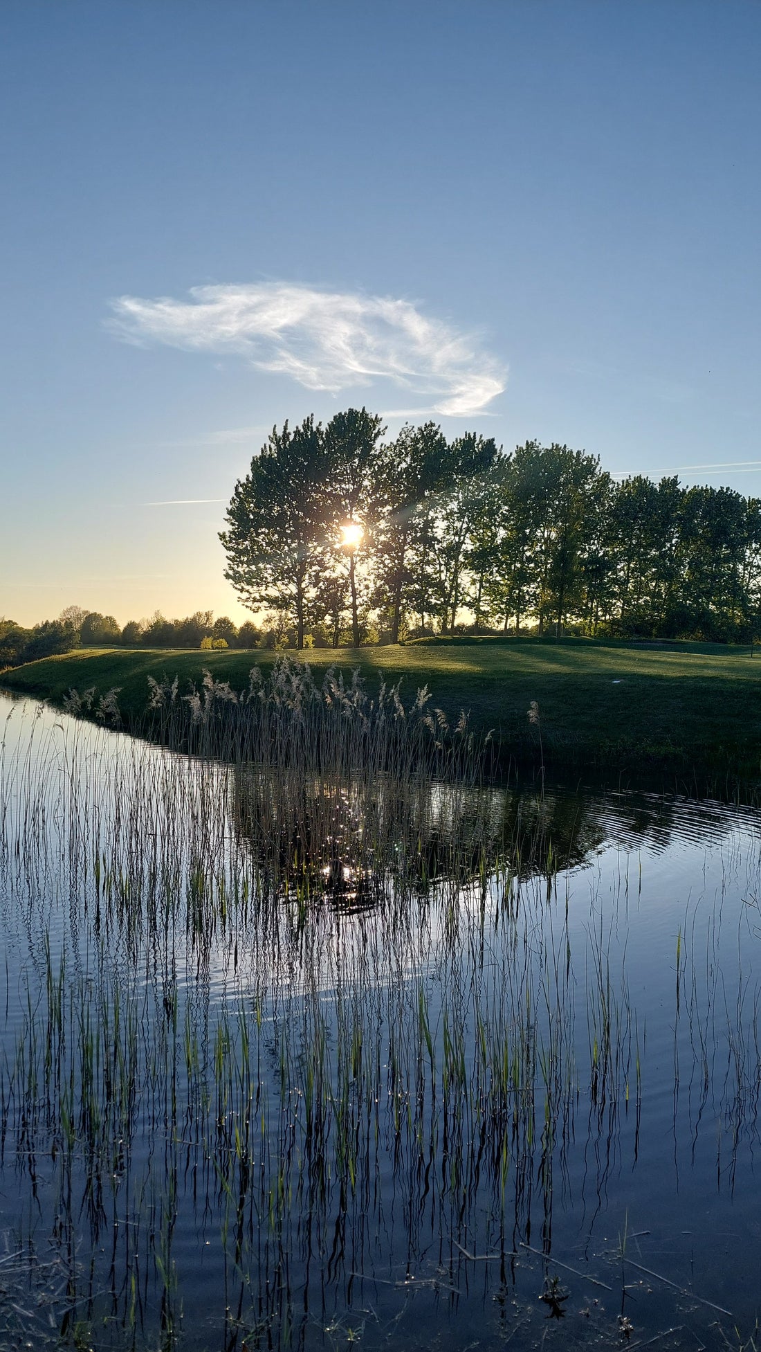 Ny Pro søges for sæsonen 2026